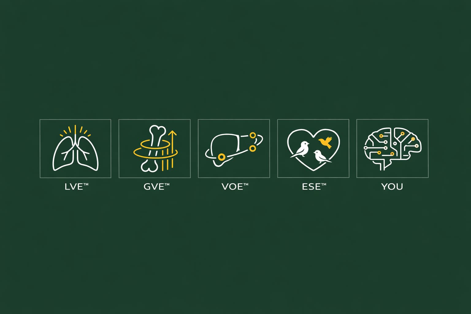 Solvida — 5 Vital Engines individual icon set: LVE, GVE, VOE, ESE, YOU